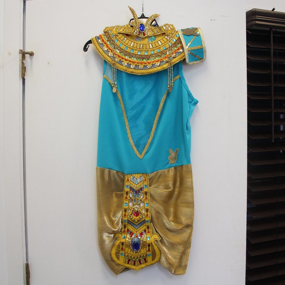 playboy bunny godess costume